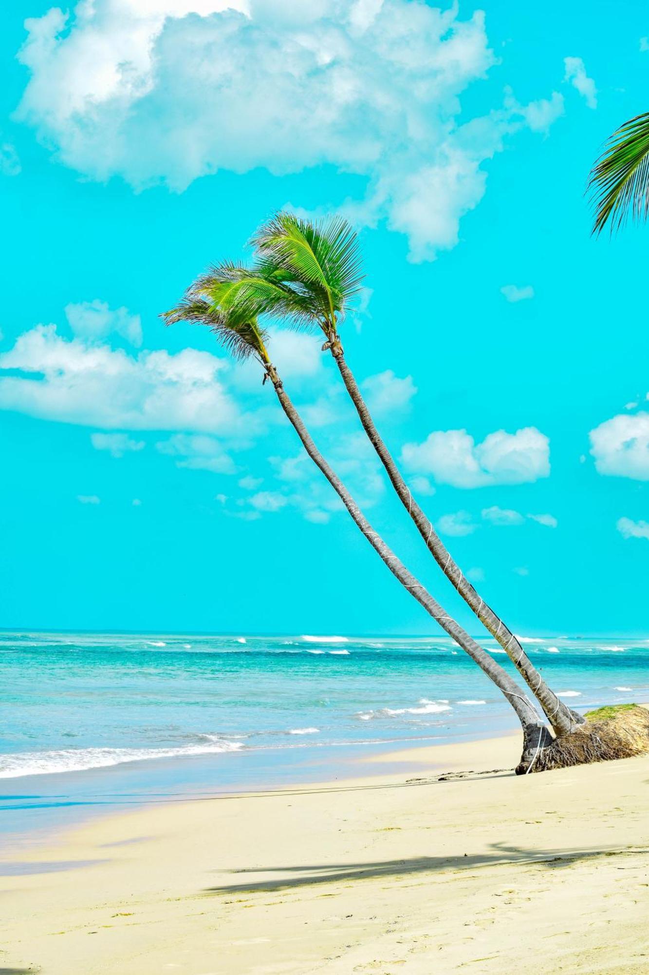Playa Palmera Beach Resort Punta Cana Buitenkant foto